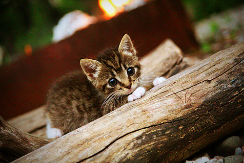 _快船迎战劲敌,拼尽全力献出精彩比赛_,快船的比赛