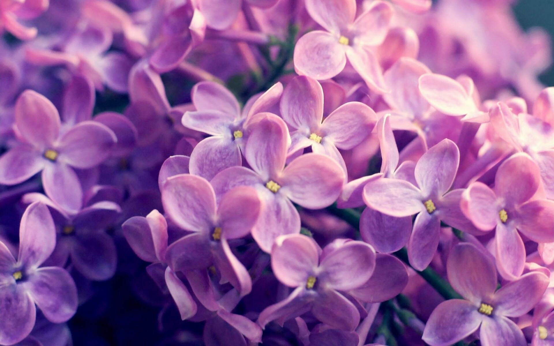 开云官方-_顶级选手亮相：本年度最期待的冠军争霸战_，顶级比赛