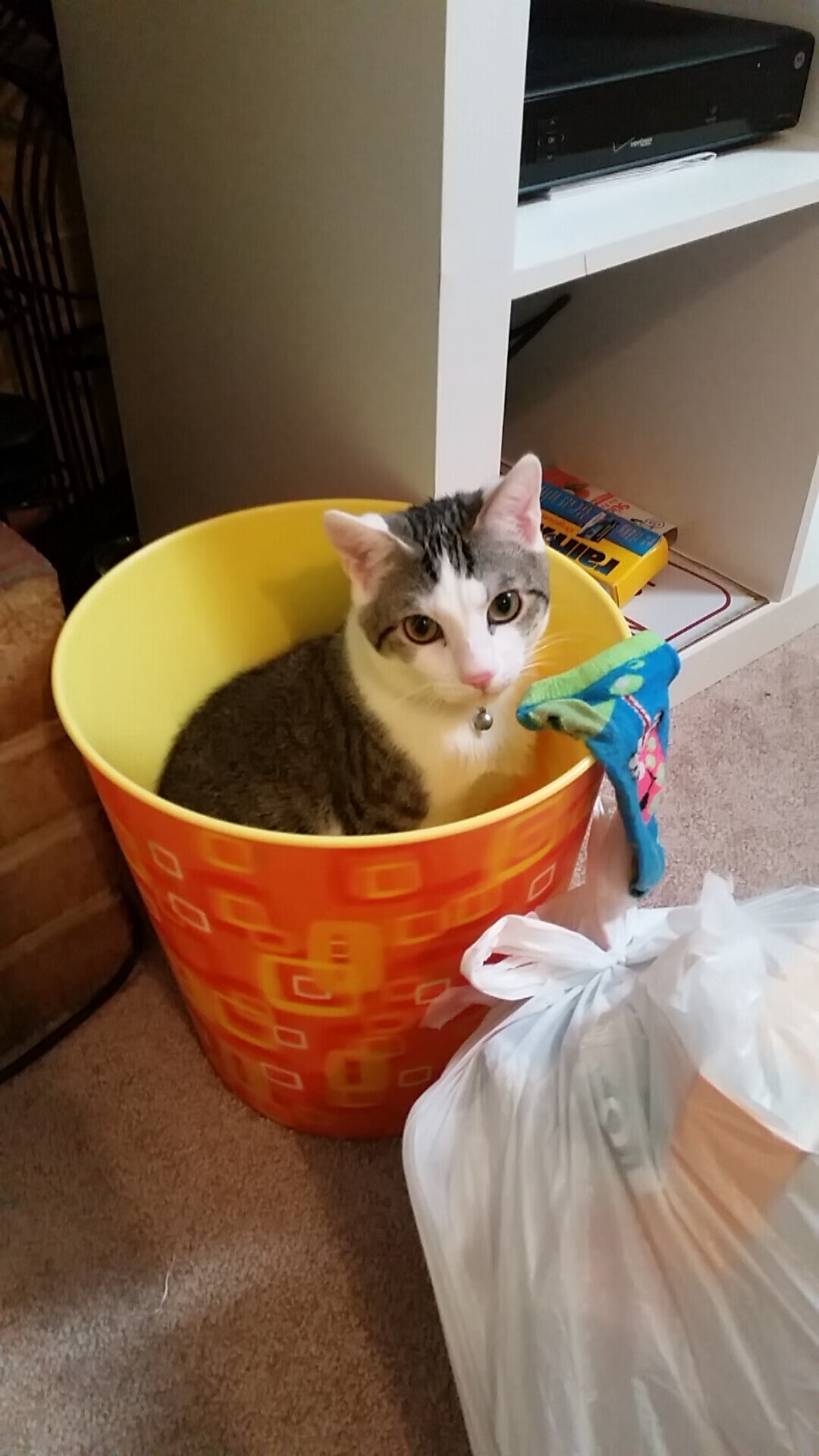 “无限可能:新秀球员的巅峰表现”,新秀能拿mvp吗