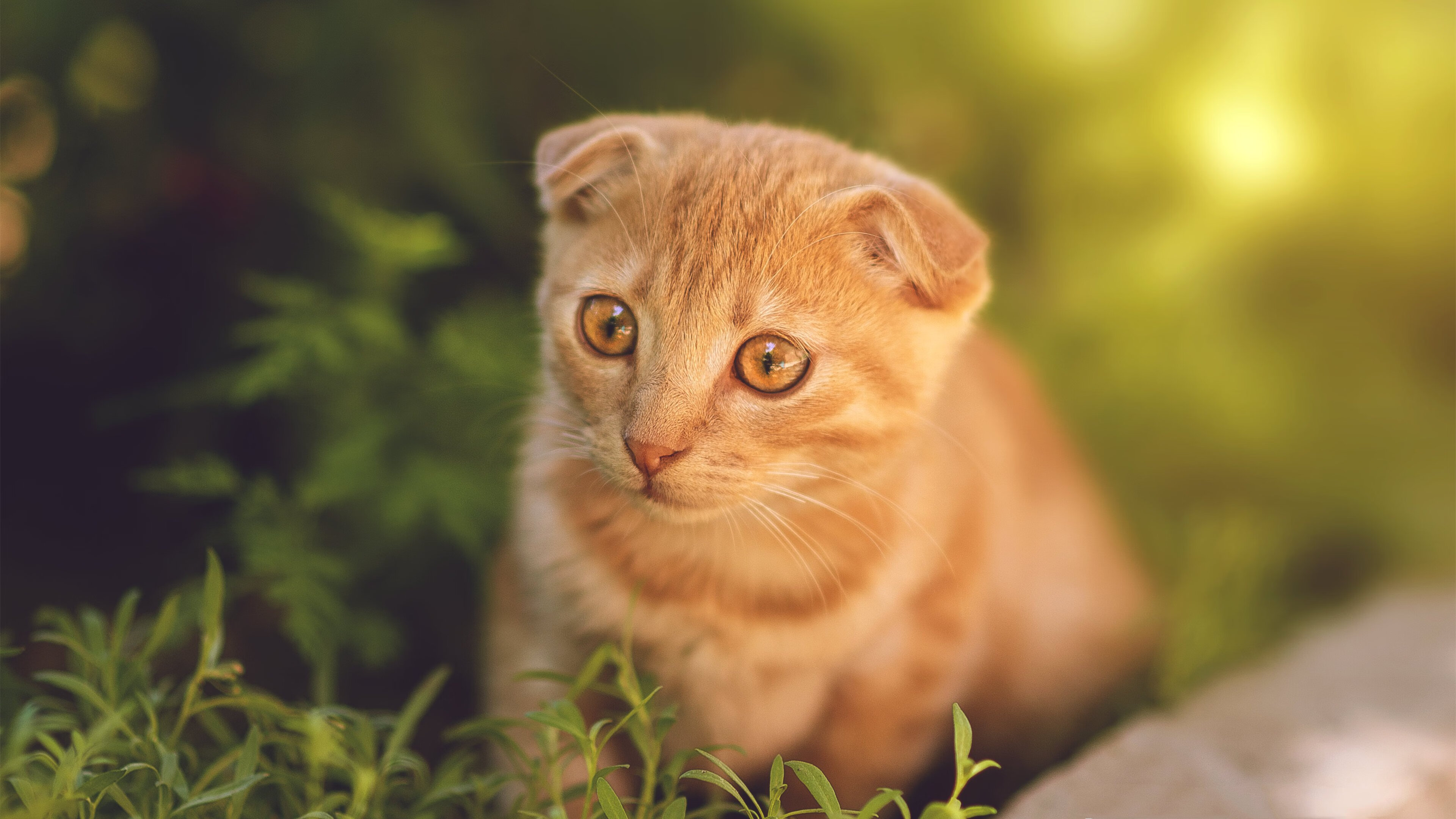 kaiyun.com-一带一路合作推动中国足球走向世界舞台