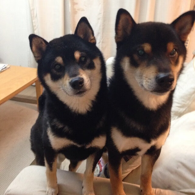 史上最年轻夺冠“射手王”崭露头角,2019年度射手王