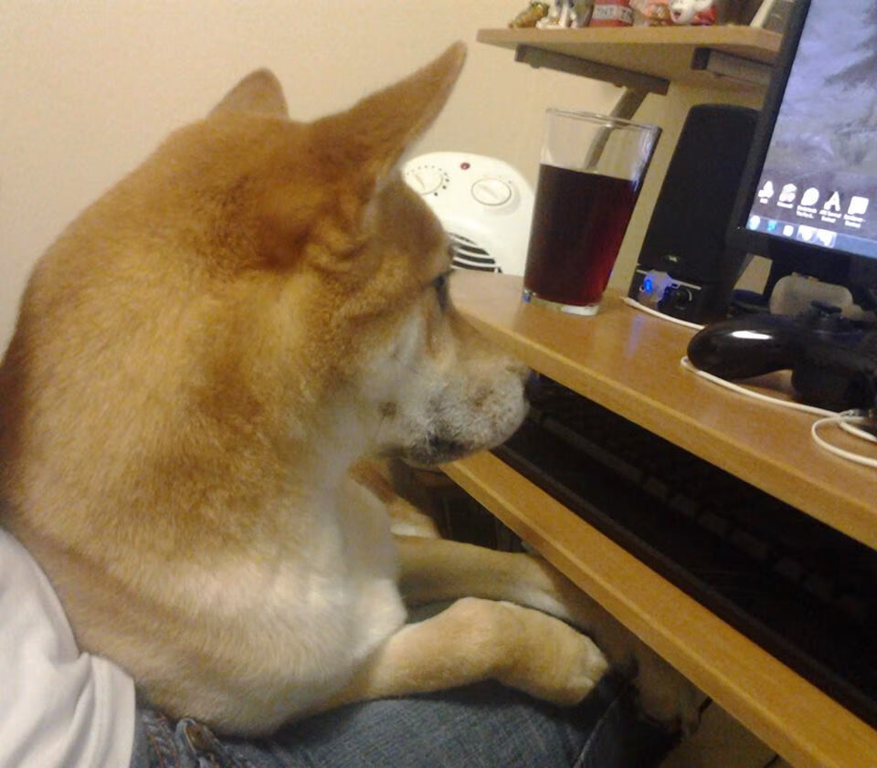 开云网页版-大型夜光水上摩托表演，灯火辉煌中的极速狂飙，水上摩托长啥样