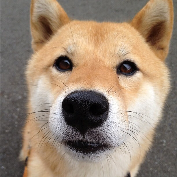 德甲球队积极推动社区足球,弘扬足球文化,社区足球比赛活动策划方案