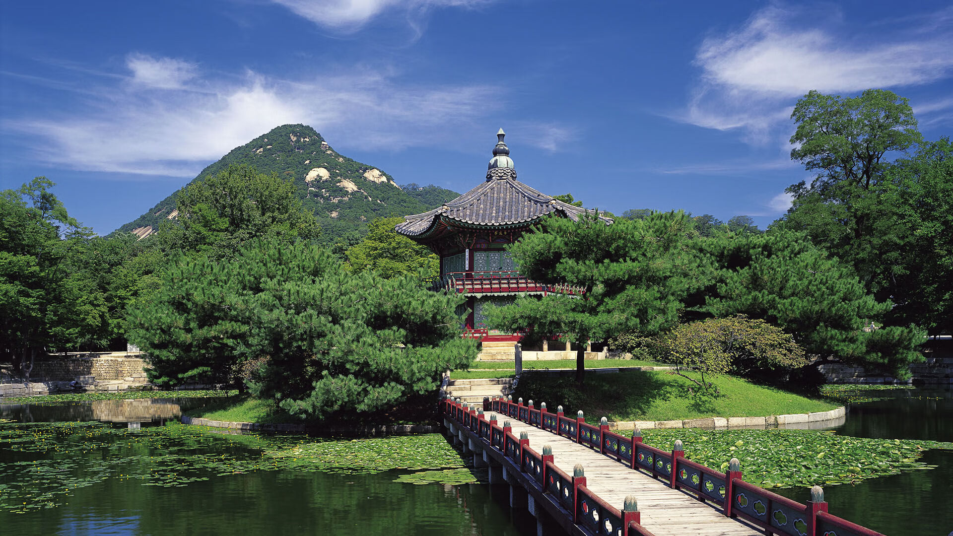 开云-技术研发：谁才是行业领先者？，技术研发水平是什么