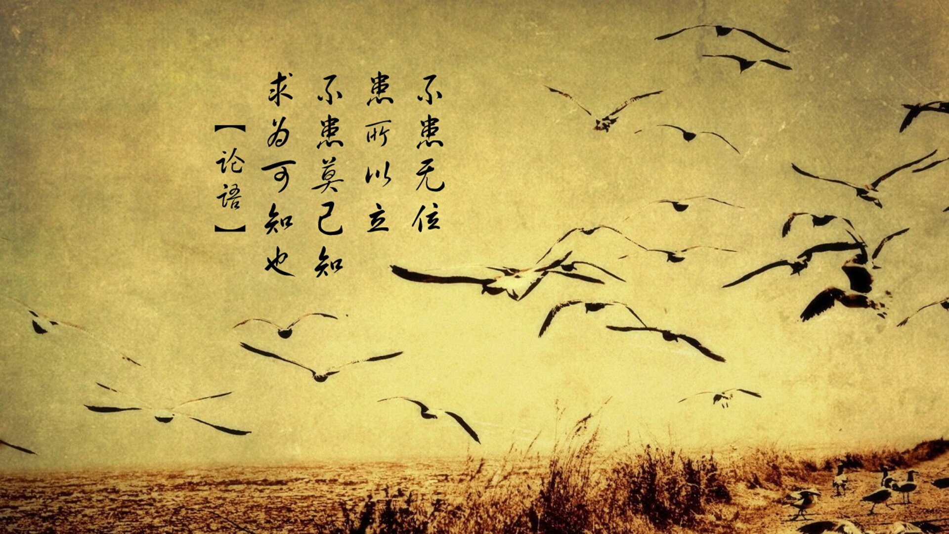 湖人逆转取胜，詹姆斯表现全场最佳，詹姆斯率领湖人夺冠