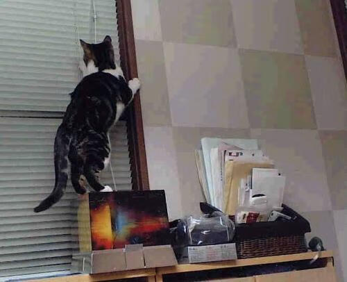 开云体育平台-球场心理战：教练和球员的心理调节秘诀，足球心理