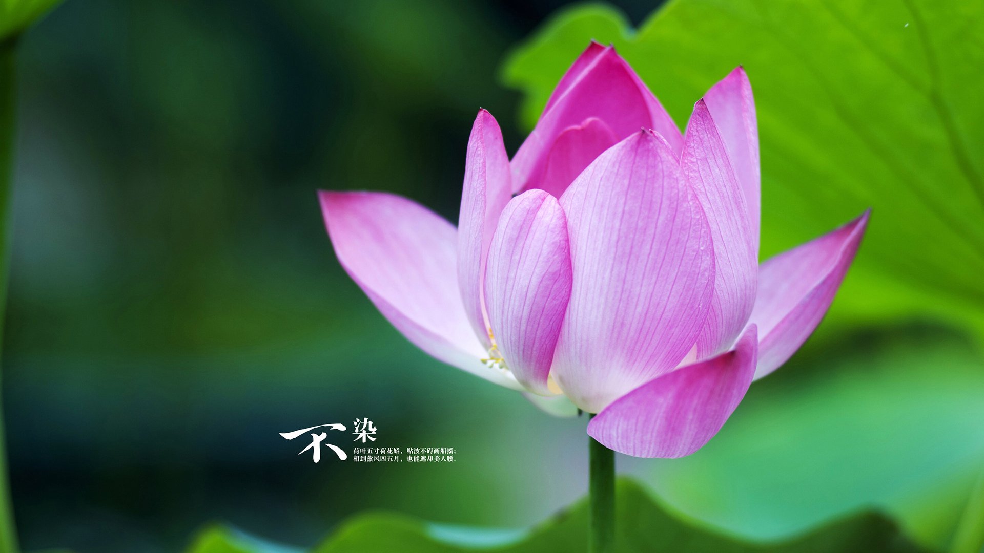 中国足球俱乐部经济效益显著提升,中国足球俱乐部价值