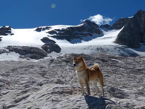国安连胜鲁能,欲反超中超积分榜,中超国安vs鲁能