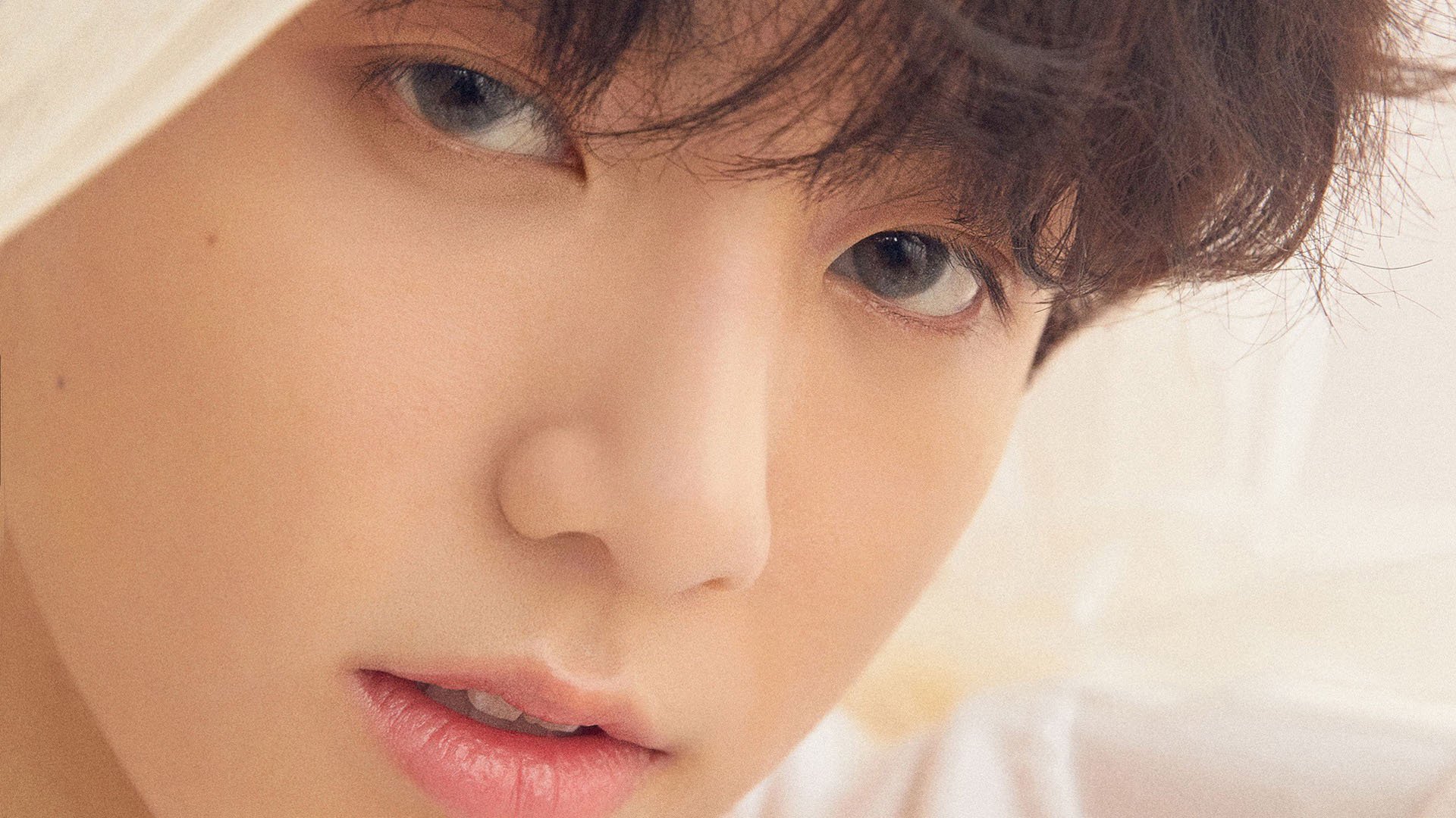 意大利马术协会举办马术运动员国际交流活动，促进文化互鉴。，意大利骑马