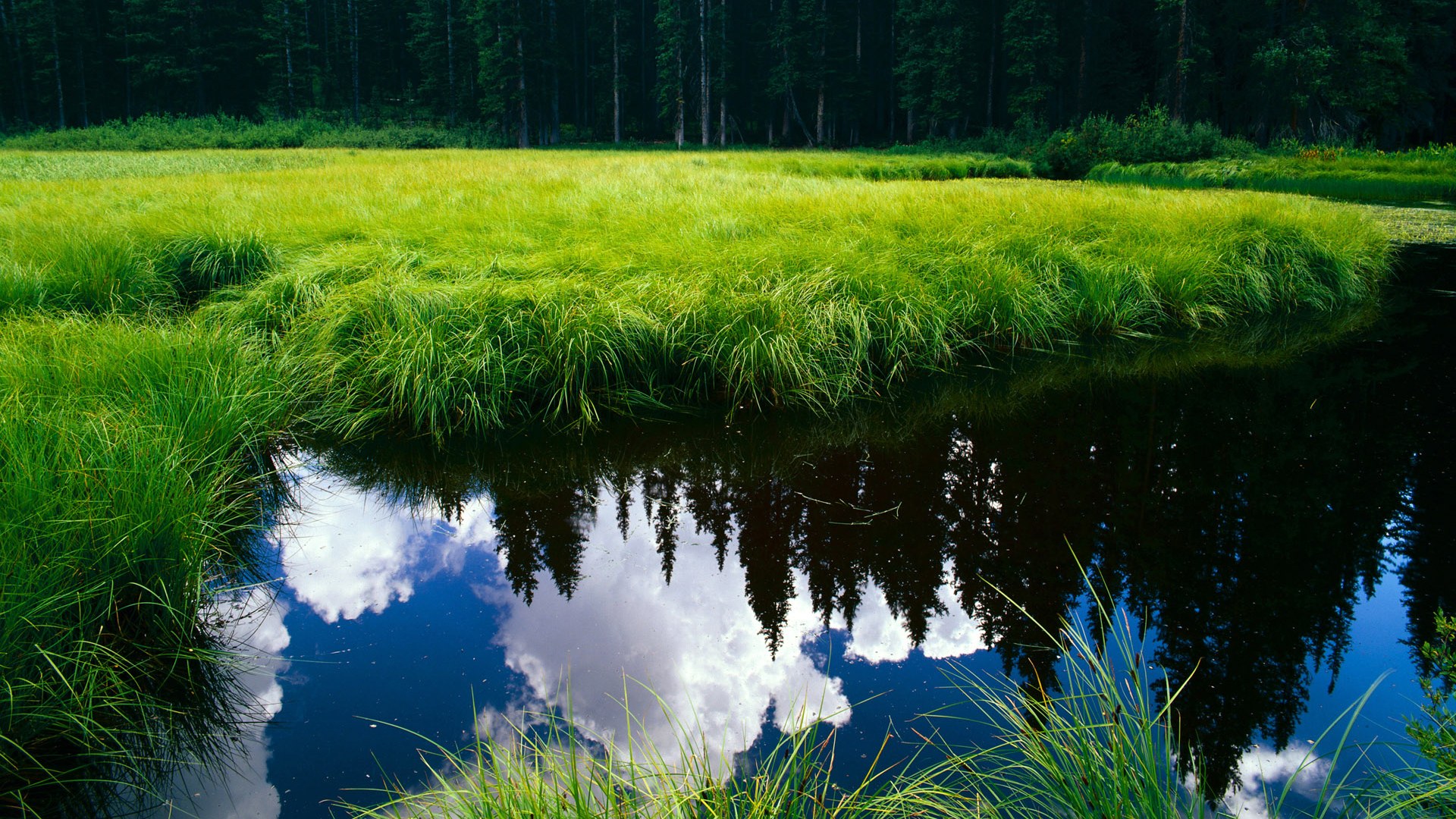 网球女单郑钦文闯入八强，绑定别人车辆要怎样审核