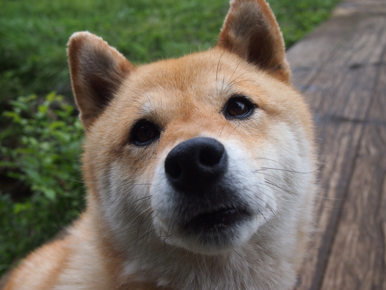 中国篮球联赛球队战术体系动态调整与实战效果分析,篮球队战术图