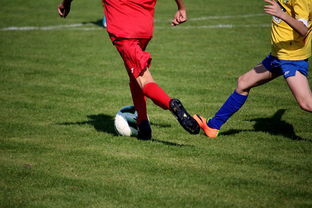 kaiyun-中国足球年度训练项目与技战术实战匹配，中国足球队战术