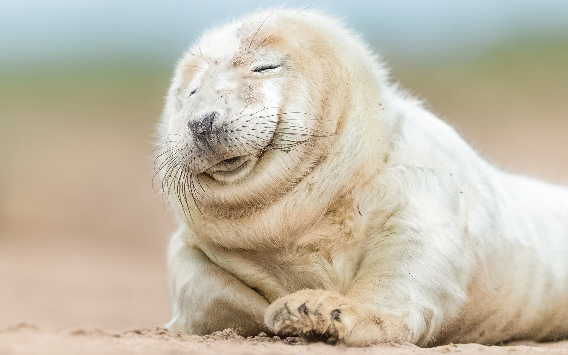 体育场馆智能安防系统设计与实施研究,体育场馆智能化管理