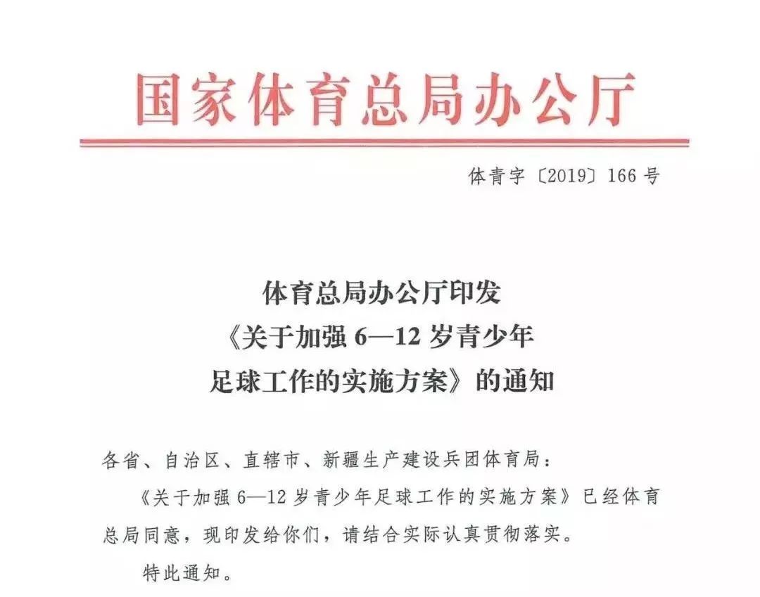 各大联赛的未来展望与发展建议