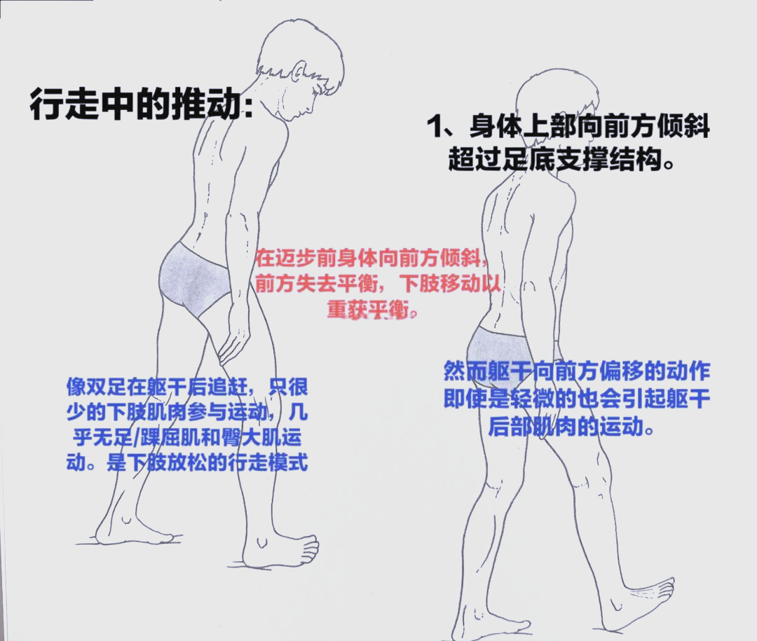 各大体育活动的推动与发展分析