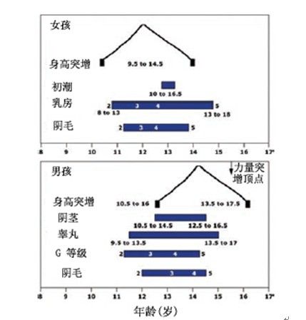 各国对青少年运动员的支持政策分析
