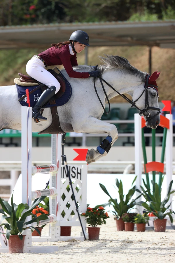 马术障碍赛:人马合一的完美表现 马术障碍赛:人马合一的完美表现