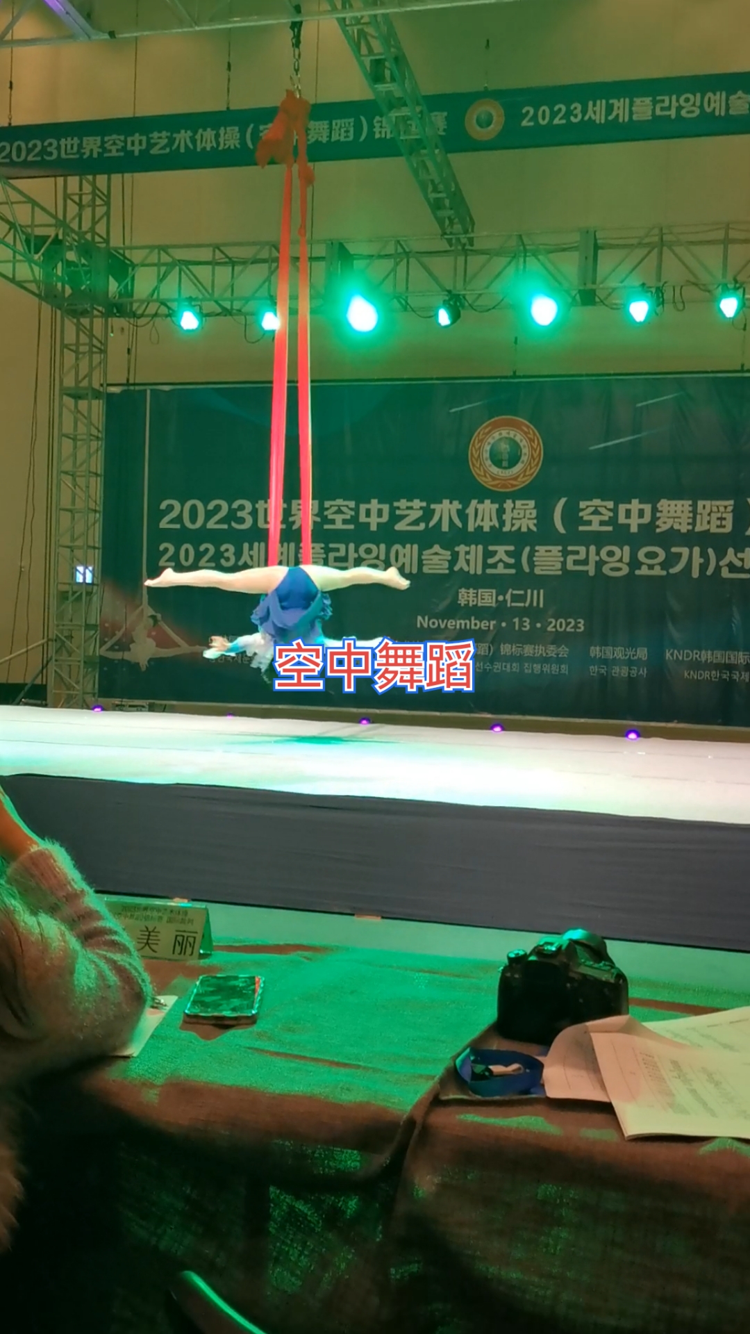 关于艺术体操世界锦标赛:美与力的协调的信息 关于艺术体操世界锦标赛:美与力的协调的信息