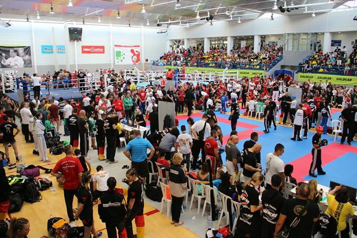 包含空手道世界锦标赛：空手搏击的艺术与战术的词条